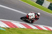 cadwell-no-limits-trackday;cadwell-park;cadwell-park-photographs;cadwell-trackday-photographs;enduro-digital-images;event-digital-images;eventdigitalimages;no-limits-trackdays;peter-wileman-photography;racing-digital-images;trackday-digital-images;trackday-photos